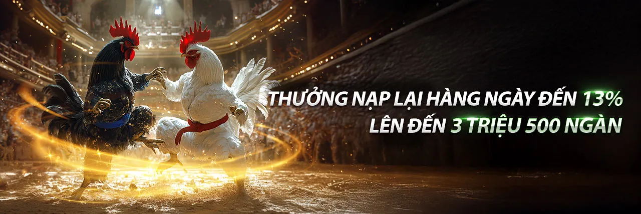 Đá Gà Trực Tuyến Hấp Dẫn tại v8bet