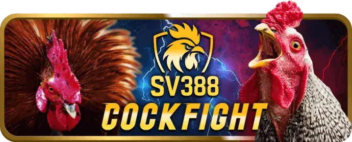 Mẹo Cá Cược Thể Thao v8bet